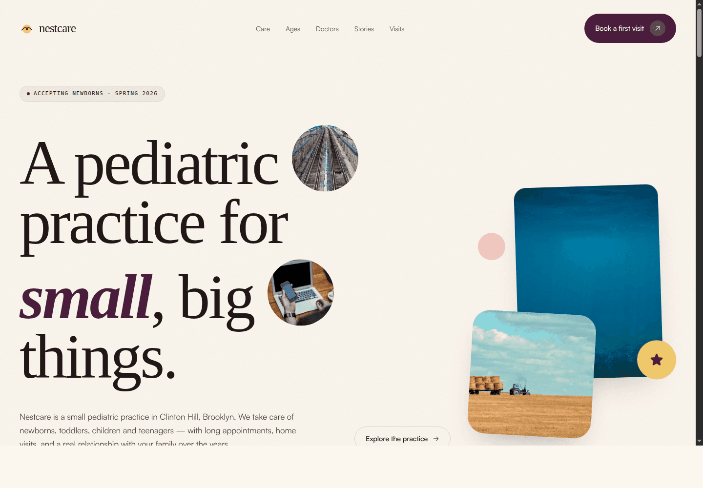 Nestcare landing page preview